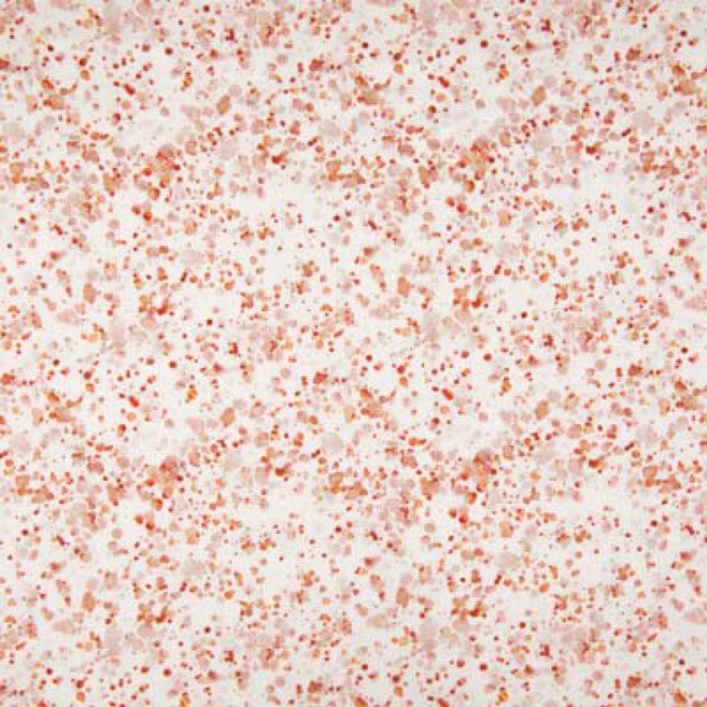 Musselin - Double Gauze - Mullstoff - Digitaldruck - Sprenkel auf Offwhite