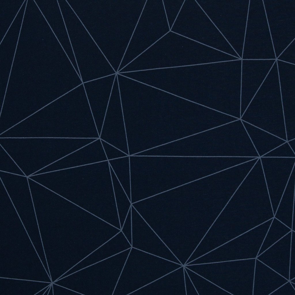 Hochwertiger Sweatstoff als Meterware von Thorsten Berger aus der "On the Rocks" Kollektion, Allover-Print mit feinen, geometrischen Netzlinien in Hellgrau auf dunkelblauem Grund, Baumwoll-Sweat