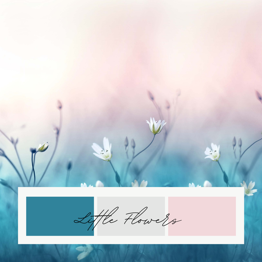 Wir haben so eben ein zauberhaftes, limitiertes Stoffpaket unserer neusten Eigenproduktion Little Flowers online gestellt. Wir haben so eben ein zauberhaftes, limitiertes Stoffpaket unserer neusten Eigenproduktion Little Flowers online gestellt.