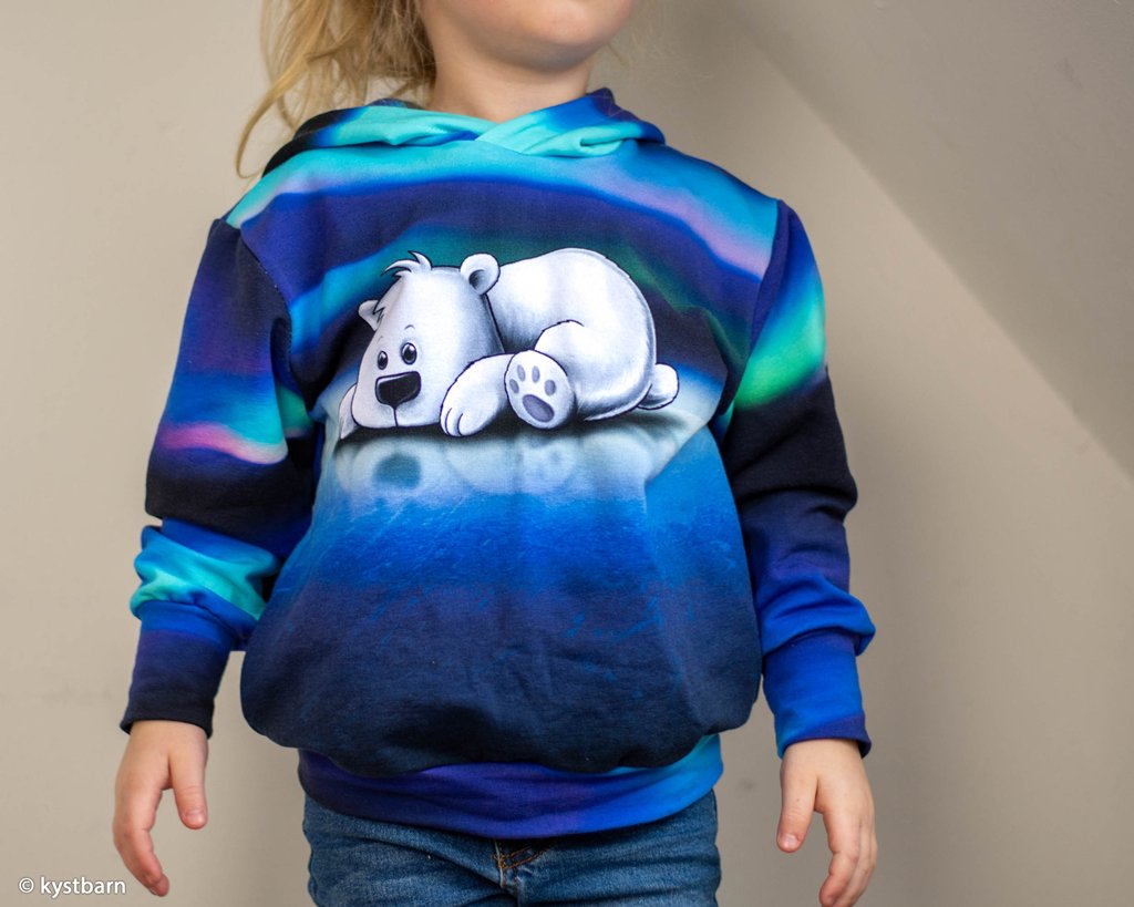 Vororder - Panel - Sweat - On the Rocks by Thorsten Berger - Eisbär & Polarlichter - 85cm