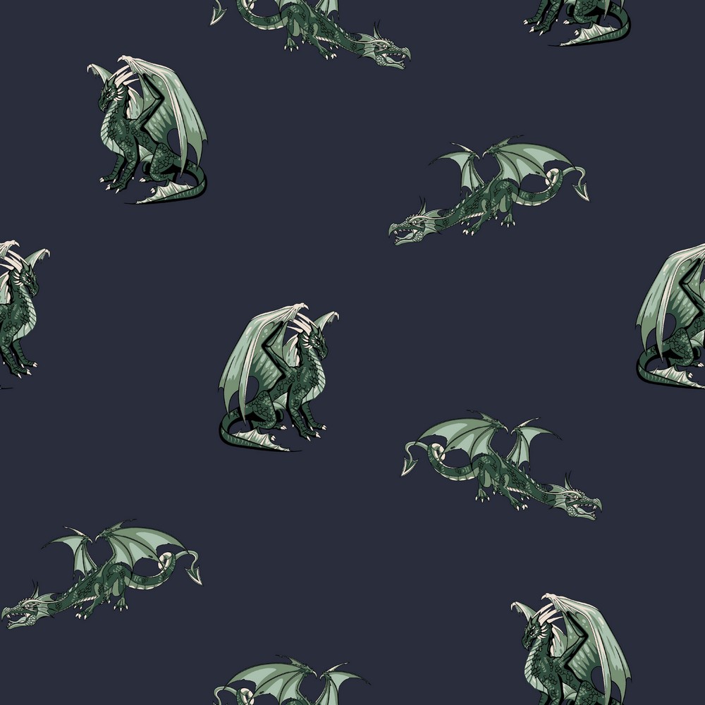 Webware - Baumwoll Stoff - Popeline - Drachen