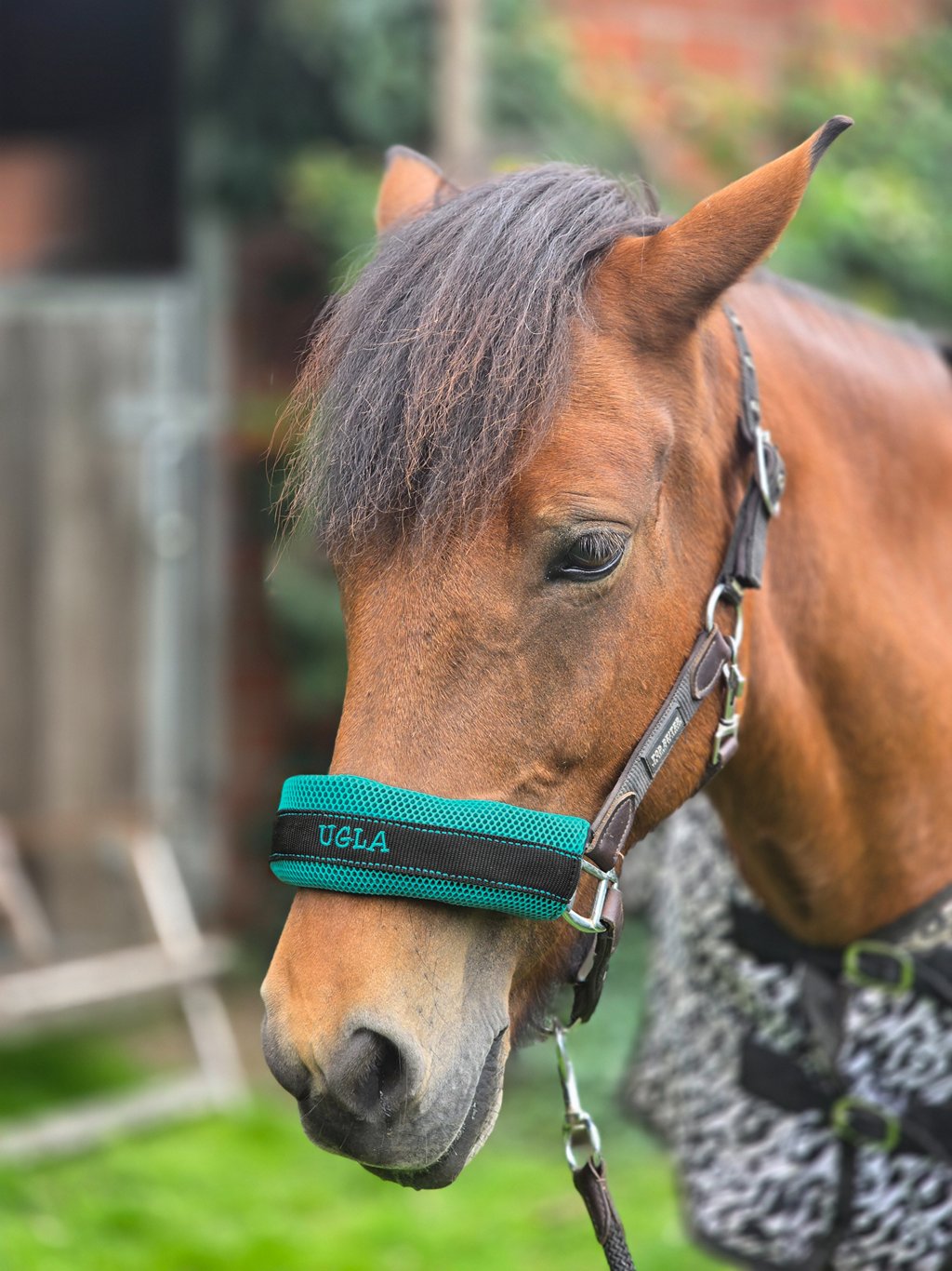 Mesh - 3D Polstergewebe - Swafing - Petrol