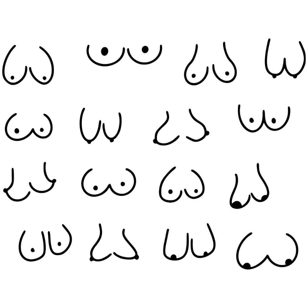 Minimalistisches Bügelbild mit verschiedenen Busen-Formen im Line-Art-Stil, schwarz auf weiß.