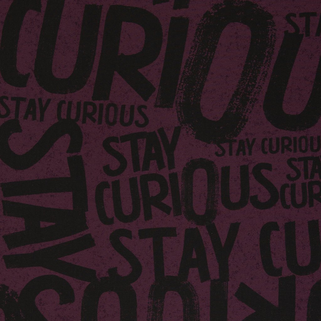 French Terry - Stay Curious by Thorsten Berger - Kombistoff - Schrift