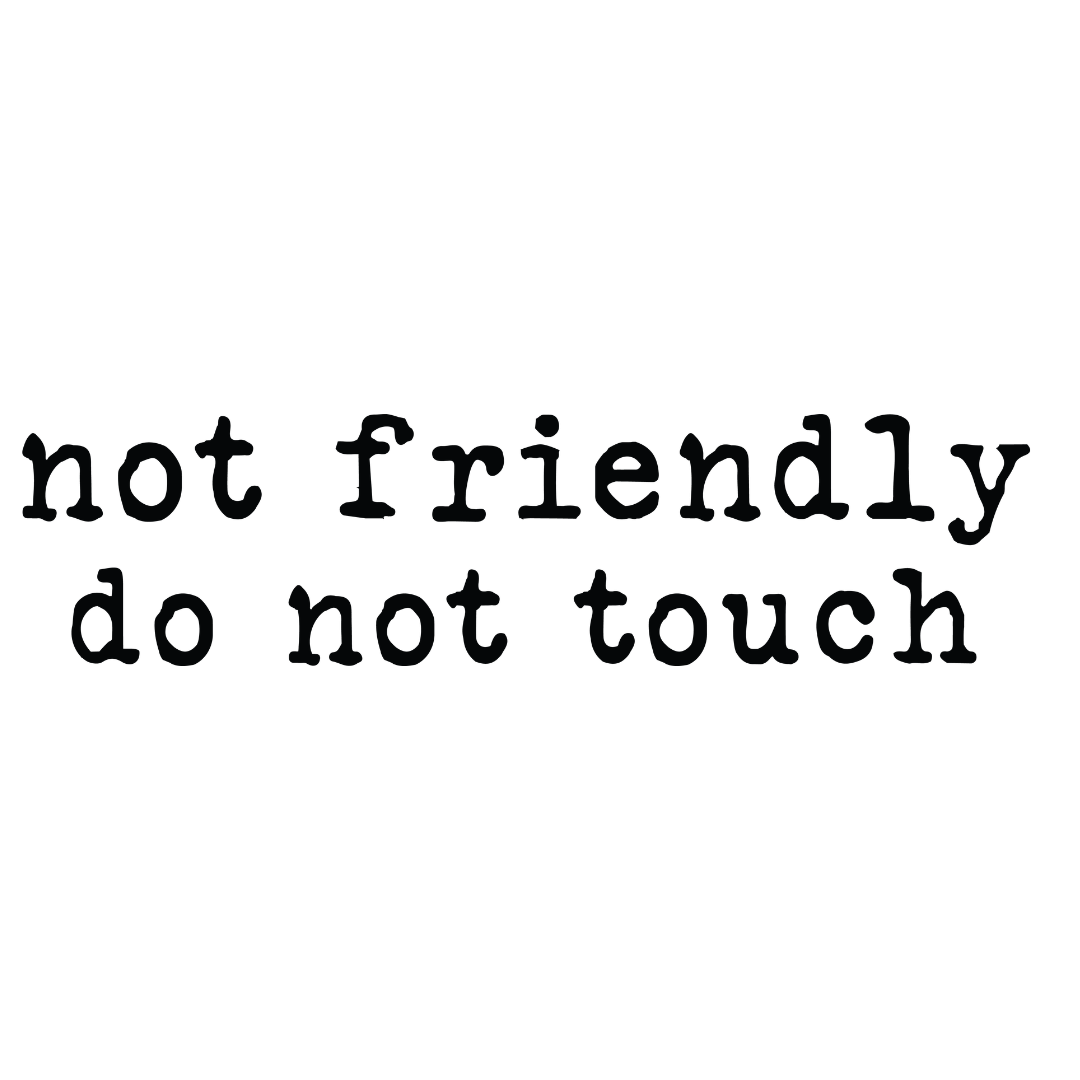 Bügelbild mit dem Schriftzug „not friendly do not touch“ in schwarzer Schreibmaschinen-Schrift auf weißem Grund.