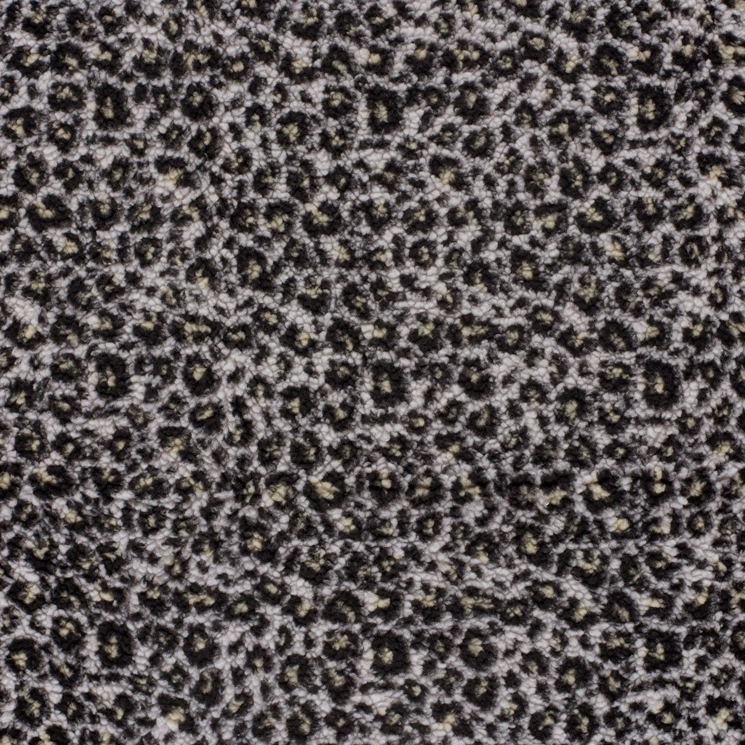 Teddyplüsch - Fleece - Leoprint - Leo