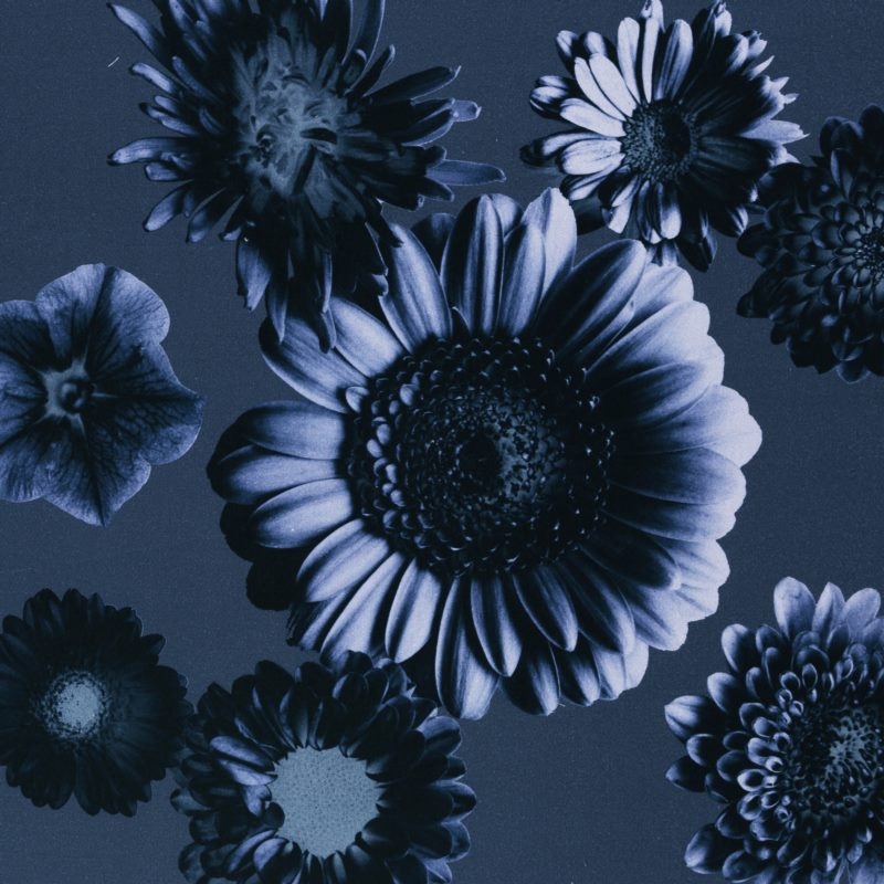 Baumwolle mit Elasthan - Baumwoll Stoff - Webware - Swafing - Tinted Flower by Cerry Picking - Blüten auf Blau